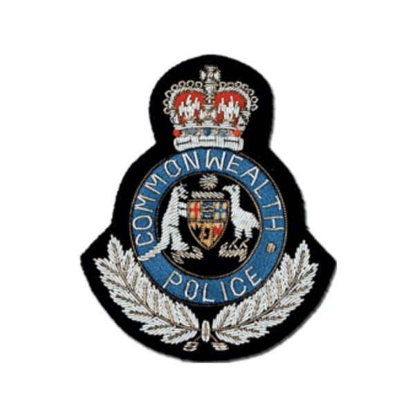 british army air corps cap badge